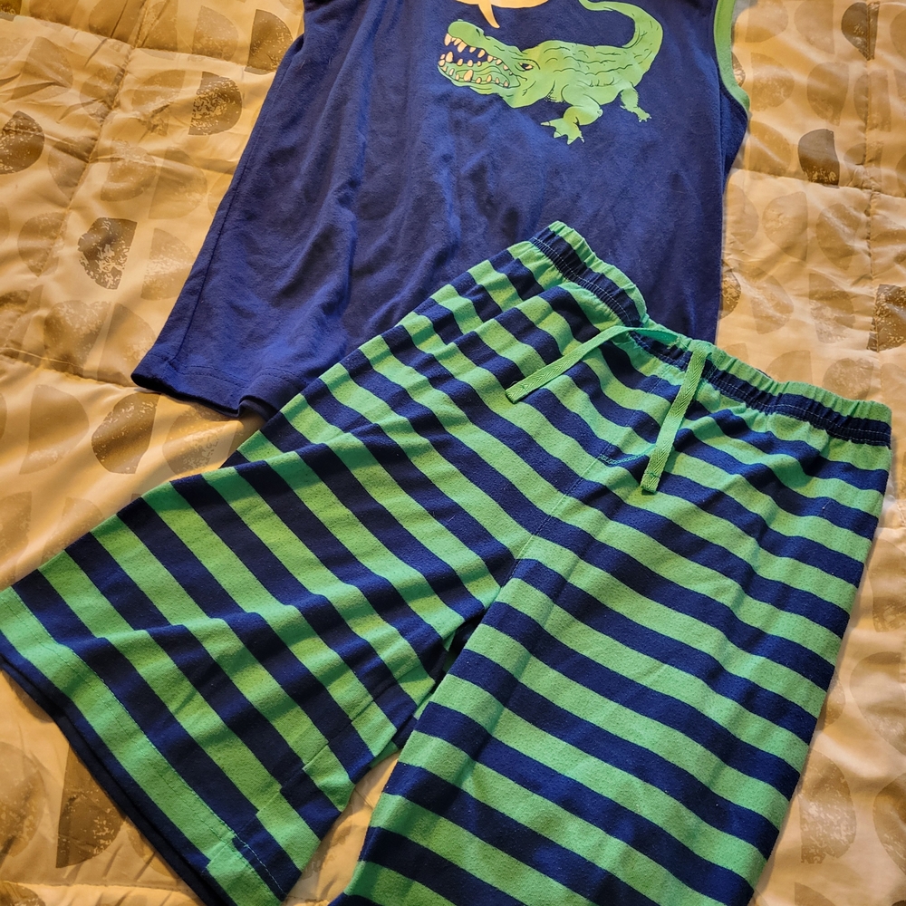 Joe Boxer Blue & Green Crocodile Pajama Set